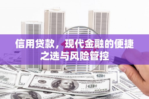 黄南信用贷款，现代金融的便捷之选与风险管控