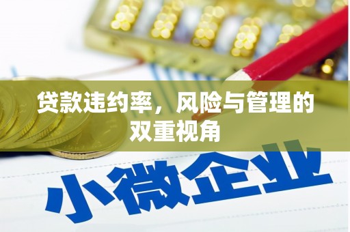内埔贷款违约率，风险与管理的双重视角