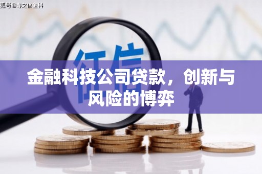 徐州金融科技公司贷款，创新与风险的博弈
