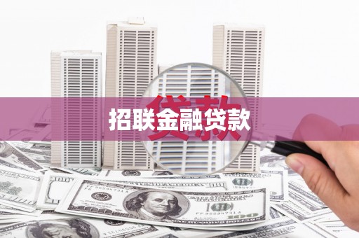 太和招联金融贷款