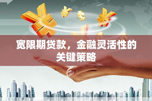 耀州宽限期贷款，金融灵活性的关键策略