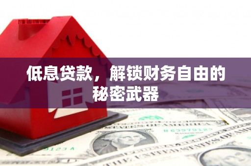 蒸湘低息贷款，解锁财务自由的秘密武器