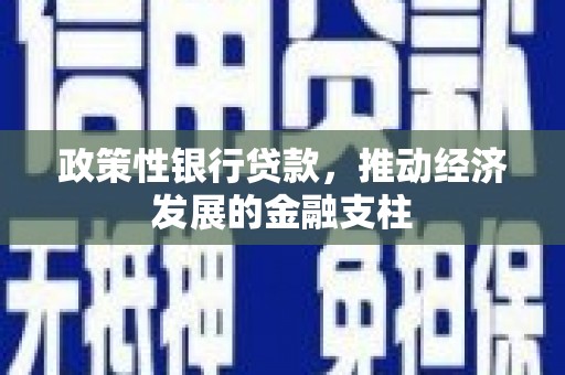 西平政策性银行贷款，推动经济发展的金融支柱