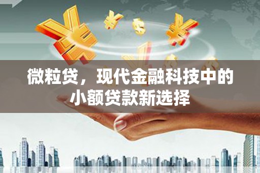红塔微粒贷，现代金融科技中的小额贷款新选择