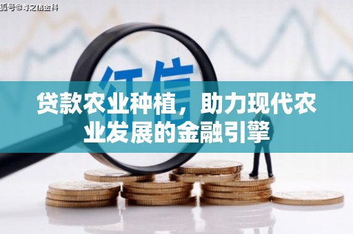 宽甸贷款农业种植，助力现代农业发展的金融引擎