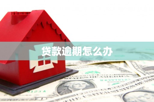 新埤贷款逾期怎么办