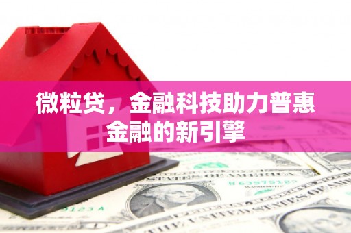 岱岳微粒贷，金融科技助力普惠金融的新引擎