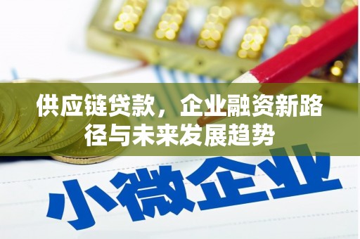 皇姑供应链贷款，企业融资新路径与未来发展趋势
