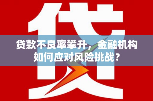 西和贷款不良率攀升，金融机构如何应对风险挑战？
