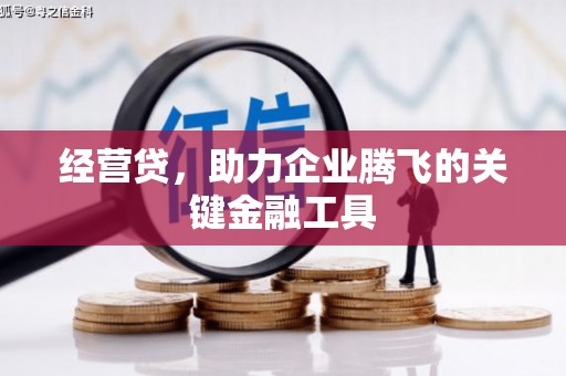 鄱阳经营贷，助力企业腾飞的关键金融工具