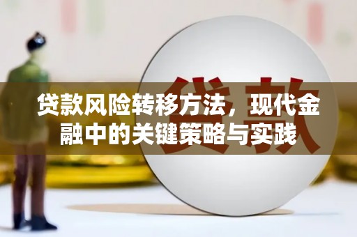 木兰贷款风险转移方法，现代金融中的关键策略与实践