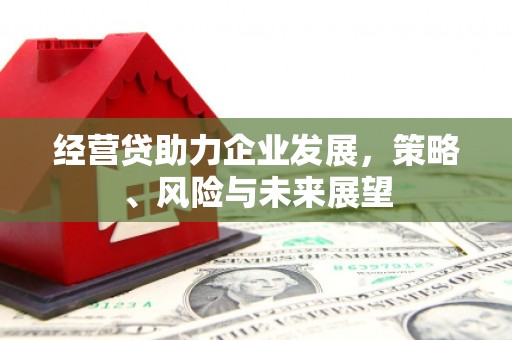 中正经营贷助力企业发展，策略、风险与未来展望