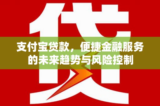 盐湖支付宝贷款，便捷金融服务的未来趋势与风险控制
