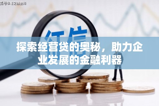 苍南探索经营贷的奥秘，助力企业发展的金融利器