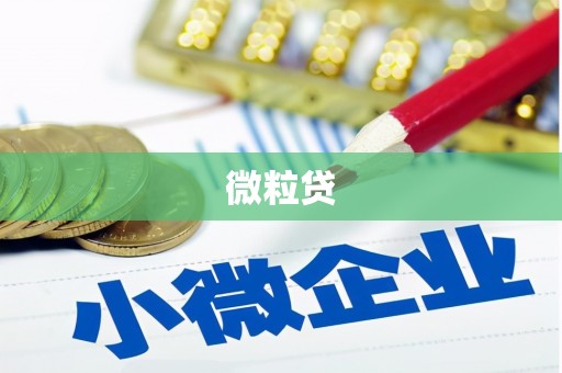 绥滨微粒贷