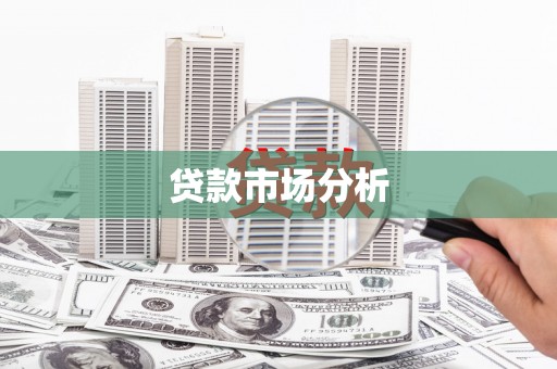 庆元贷款市场分析