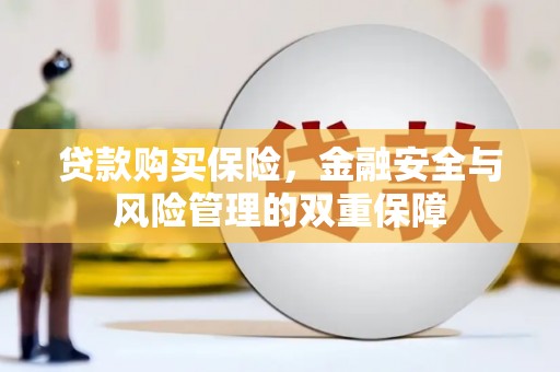 双清贷款购买保险，金融安全与风险管理的双重保障