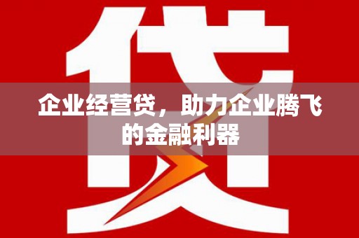 枞阳企业经营贷，助力企业腾飞的金融利器
