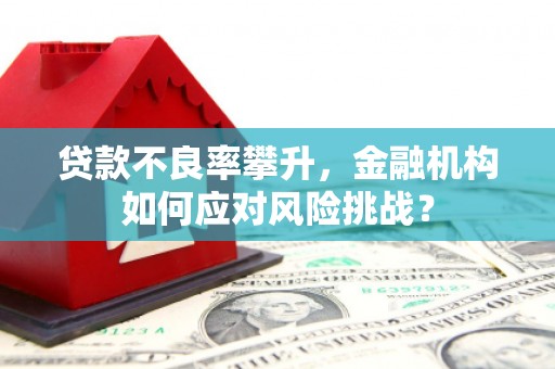 田家庵贷款不良率攀升，金融机构如何应对风险挑战？