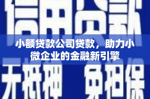 容县小额贷款公司贷款，助力小微企业的金融新引擎