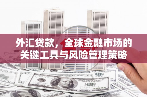余姚外汇贷款，全球金融市场的关键工具与风险管理策略