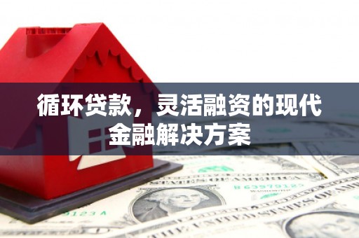 丰原循环贷款，灵活融资的现代金融解决方案