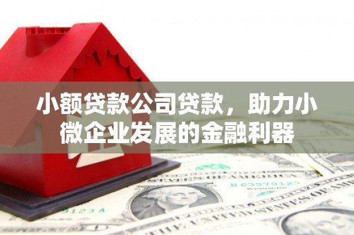 达日小额贷款公司贷款，助力小微企业发展的金融利器