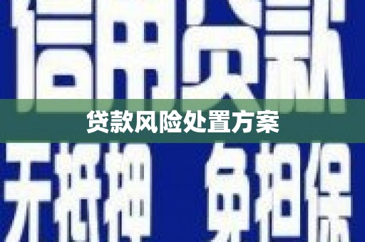 伸港贷款风险处置方案