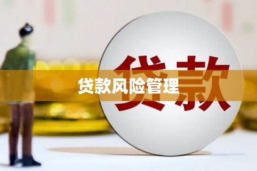 大足贷款风险管理