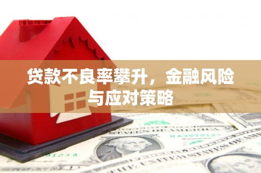 和平贷款不良率攀升，金融风险与应对策略