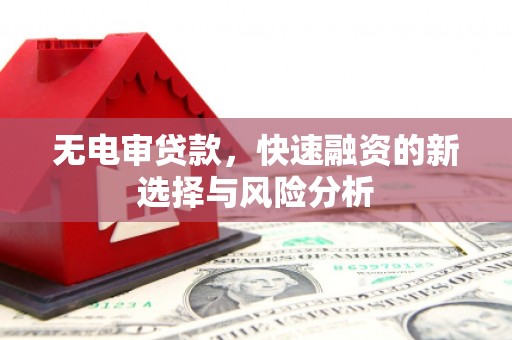 百色无电审贷款，快速融资的新选择与风险分析