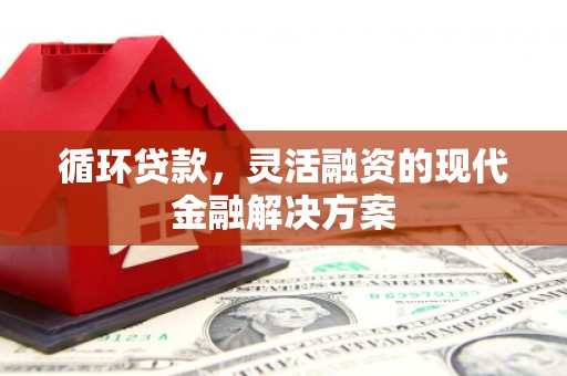 船营循环贷款，灵活融资的现代金融解决方案
