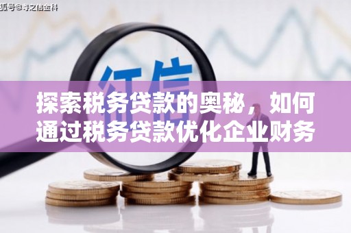 信阳探索税务贷款的奥秘，如何通过税务贷款优化企业财务