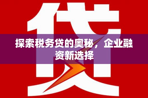 内埔探索税务贷的奥秘，企业融资新选择