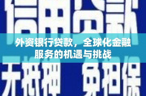 雨花外资银行贷款，全球化金融服务的机遇与挑战