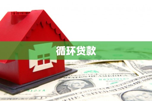 白山循环贷款
