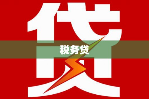 山东税务贷