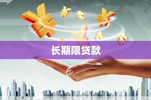 错那长期限贷款