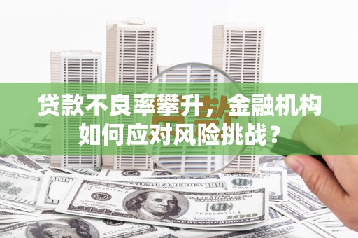巴里坤贷款不良率攀升，金融机构如何应对风险挑战？