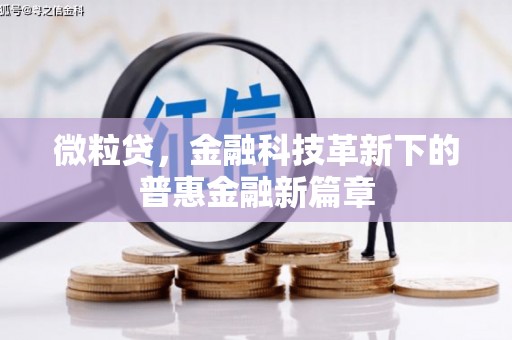 南充微粒贷，金融科技革新下的普惠金融新篇章