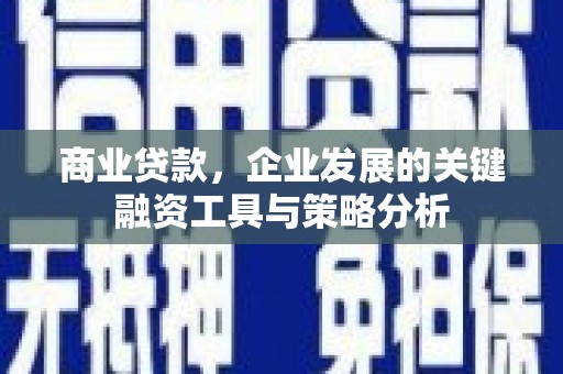随州商业贷款，企业发展的关键融资工具与策略分析