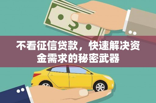 鱼池不看征信贷款，快速解决资金需求的秘密武器