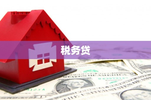 广安税务贷