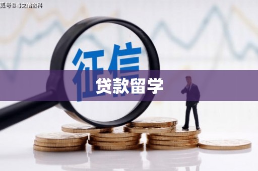 新华贷款留学