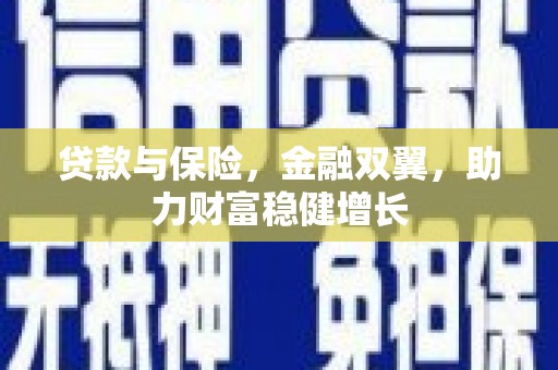 团风贷款与保险，金融双翼，助力财富稳健增长