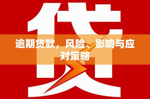 双牌逾期贷款，风险、影响与应对策略