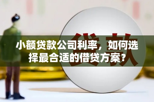 伊川小额贷款公司利率，如何选择最合适的借贷方案？
