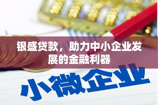 和田县银盛贷款，助力中小企业发展的金融利器