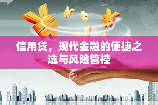 斗南信用贷，现代金融的便捷之选与风险管控