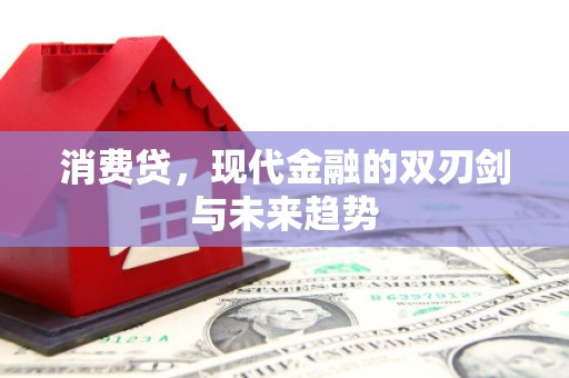 新乡消费贷，现代金融的双刃剑与未来趋势